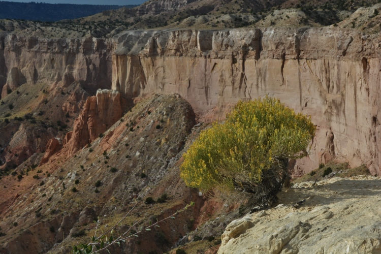 View from Chimney Rock Trail